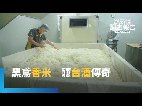 霧峰黑翅鳶香米 友善猛禽與生態 師承日本釀酒工藝 寫永續農業三部曲｜點食成金 產地逆襲記｜鏡新聞調查報告｜#鏡新聞