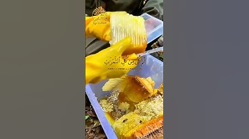 🐝🌺🐝 وأوحى ربك إلى النحل 🐝🌺🐝 ما تيسر من سورة النحل 🐝🌺🐝 القارئ عبد الباسط عبد الصمد رحمة الله عليه 🐝🌺🐝