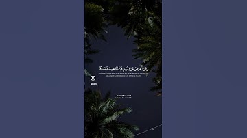 تلاوة عطرة يسيرة - القارئ عبدالله الموسى 🤎🎙️