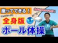 【高齢者向け】座ってできる！ちょっぴりハード 「全身版」 ボール体操 【介護予防】