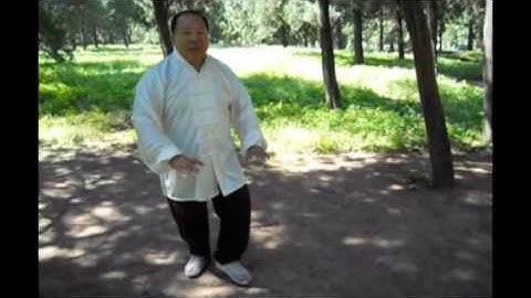 Liang BaGuaZhang Fixed 8 Palms Breakdown: 1st Palm