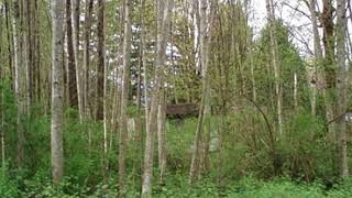 41890 Cape Horn Dr video tour