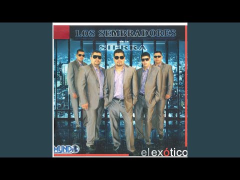El Guachito