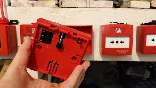 ESP (Fireline) MCP Demonstration