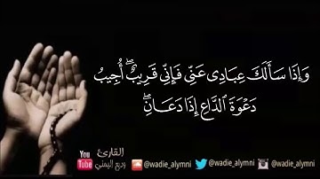 "وإذا سألك عبادي عني فإني قريب"- للقارئ الشيخ/ وديع اليمني