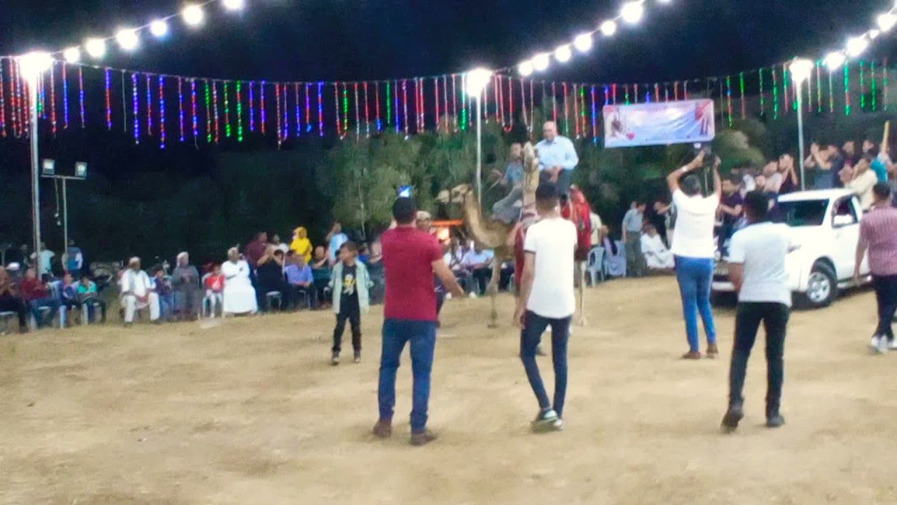 احلى استقبال العريس تيسير ابو سويرح 2021 احلى عريس ابو سنجر