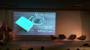 Miniature microscopes and the brain: Bridging the gap between neuroscience and technology