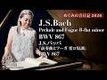 J.S.Bach: Prelude & Fugue in B-flat minor BWV867｜親友が涙したバッハの「慰め」オランダのアトリエから届く祈りと癒し【めぐみの音日記】Fortepiano