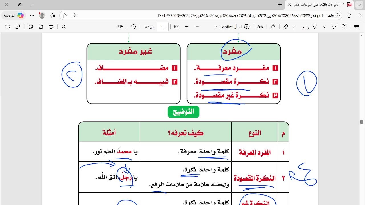 Пояснение к главе о разговоре с г-ном/Сайидом Эзз Эль-Дином