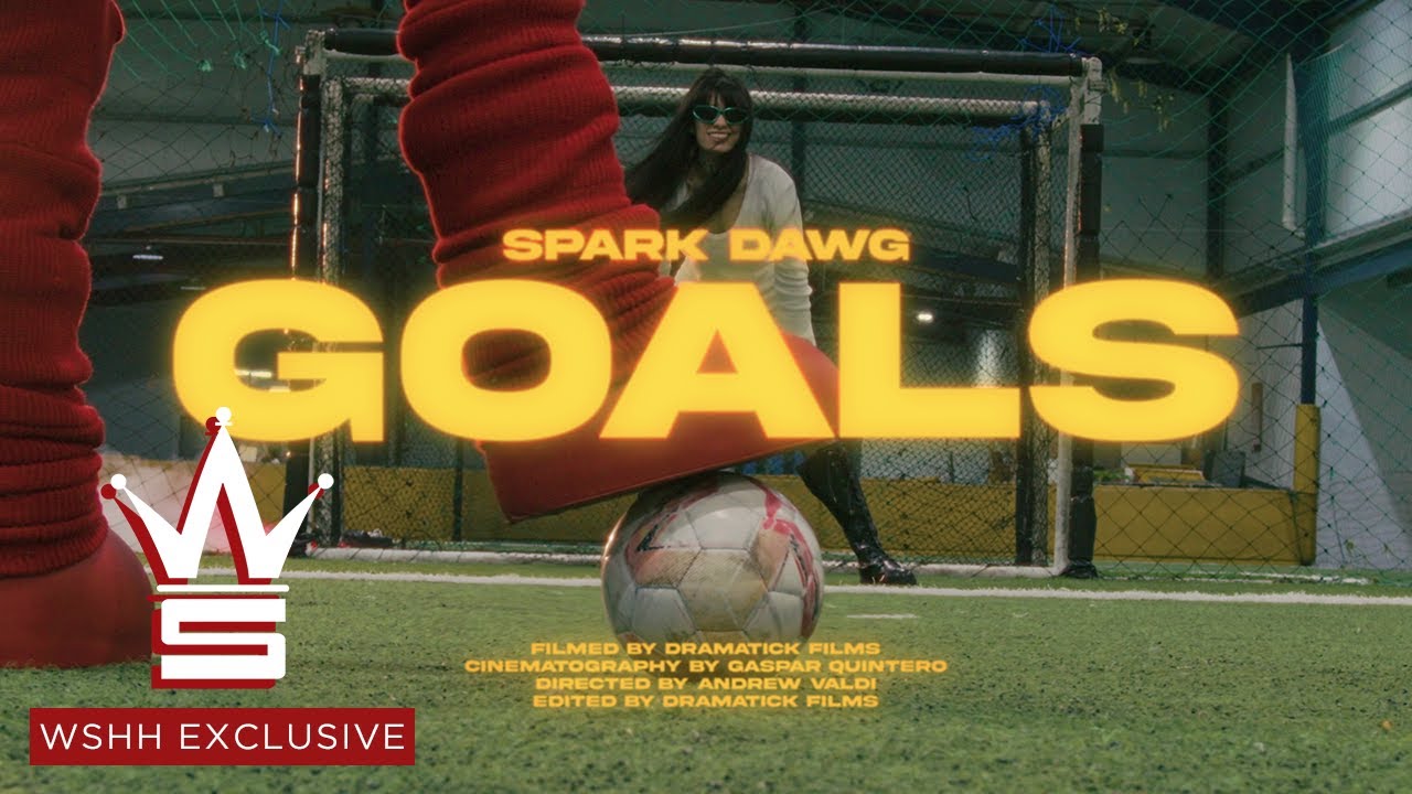 Spark Dawg - GOALS