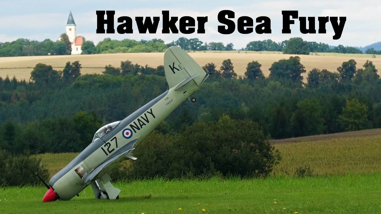 Hawker Sea Fury | giant scale RC plane | 4K | Nesvacily 2022
