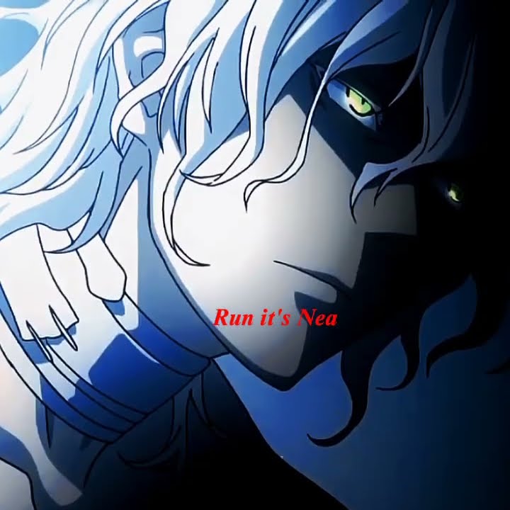 D.Gray Man hallow- edit