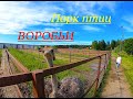 Парк птиц ВОРОБЬИ