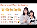 Pets and zoo animals mandarin learning for childrenchinese lesson for kids