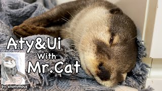 I'm home! Our life is back! [Otter life Day 595]