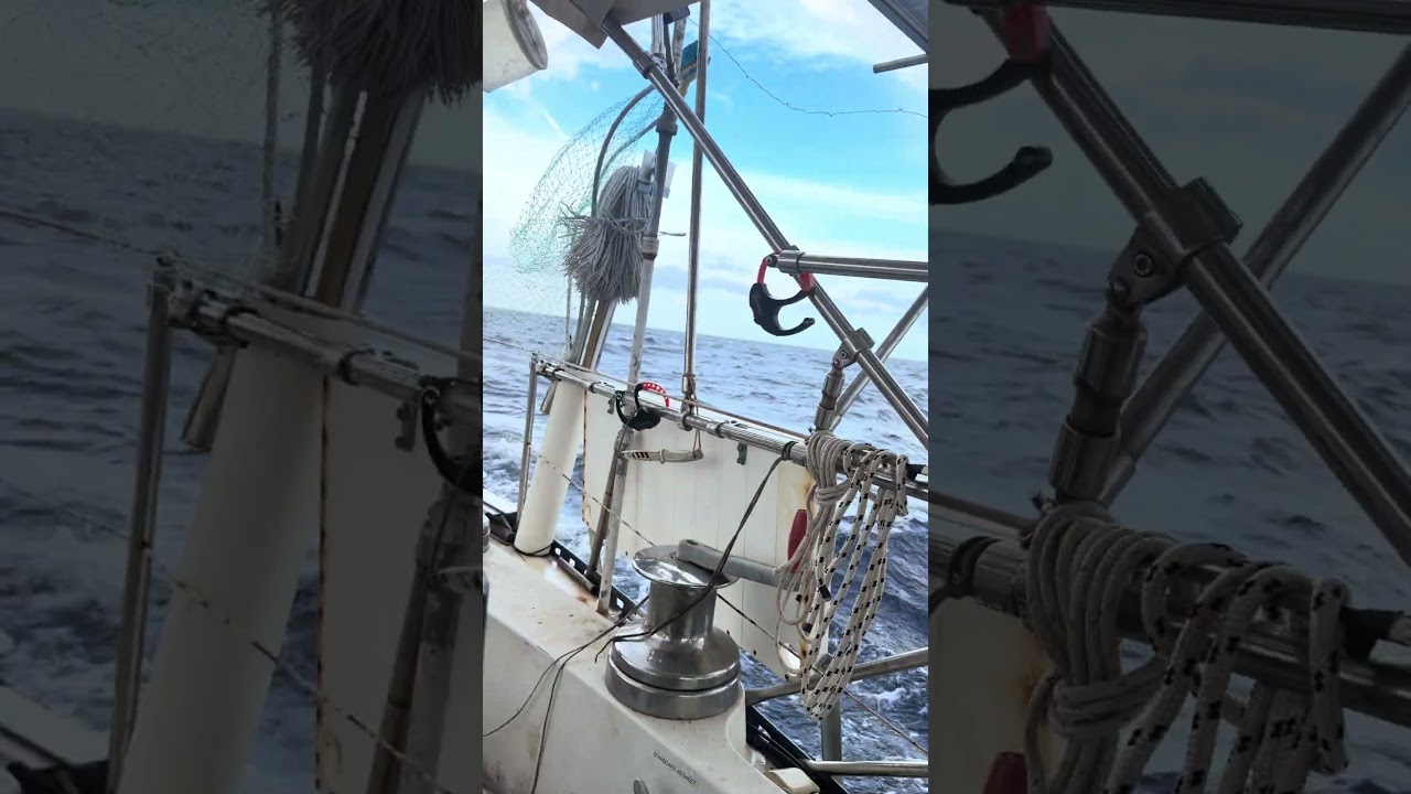 ⁣Blew out my 130% Genoa sail!