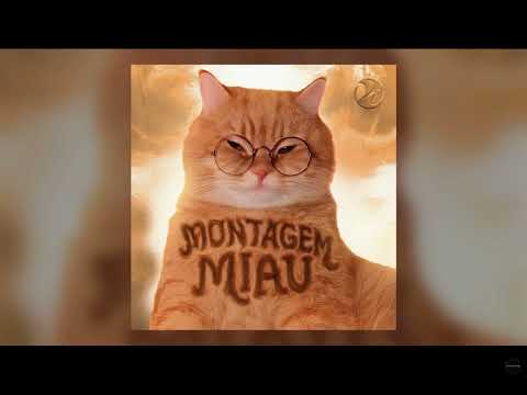 Montagem miau