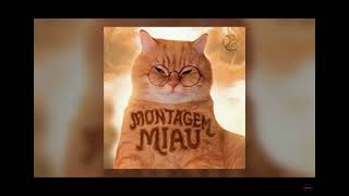 Montagem miau