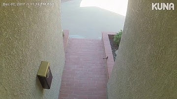 Little Bird Captured on Toucan Outdoor Security Camera | Toucan Smart Home