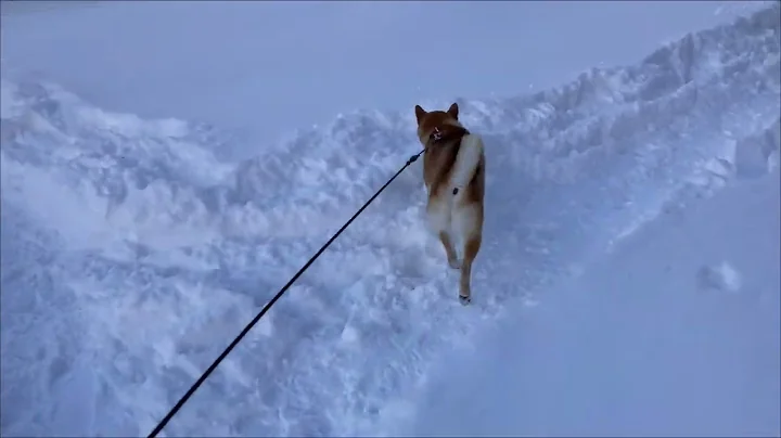 Ken Jr. Walking in the Snow