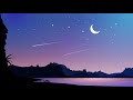Rita Wilson and  Sebastian Yatra-Til You're Home ( Lyrics from " A Man Called Otto)