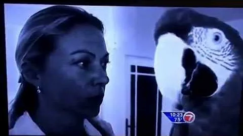 Debbie Carney "bird rescue " story