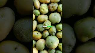 The Secret Behind Green Potatoes (EXPLAINED) ? 489 shorts viral