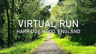 Virtual Run | Harridge Wood Nature Reserve, England | Treadmill Woodland Running Scenery