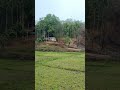 2025 Season Music Audio Sound Nature Beautiful Shorts 2025 Season Music Audio Sound Nature Beautiful Shorts