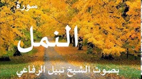 سورة النمل بصوت الشيخ / نبيل الرفاعي 27