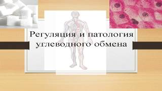 Биохимия Урок 6 Регуляция и патология углеводного обмена Биохимия Урок 6 Регуляция и патология углеводного обмена