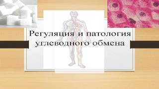 Биохимия Урок 6  Регуляция и патология углеводного обмена