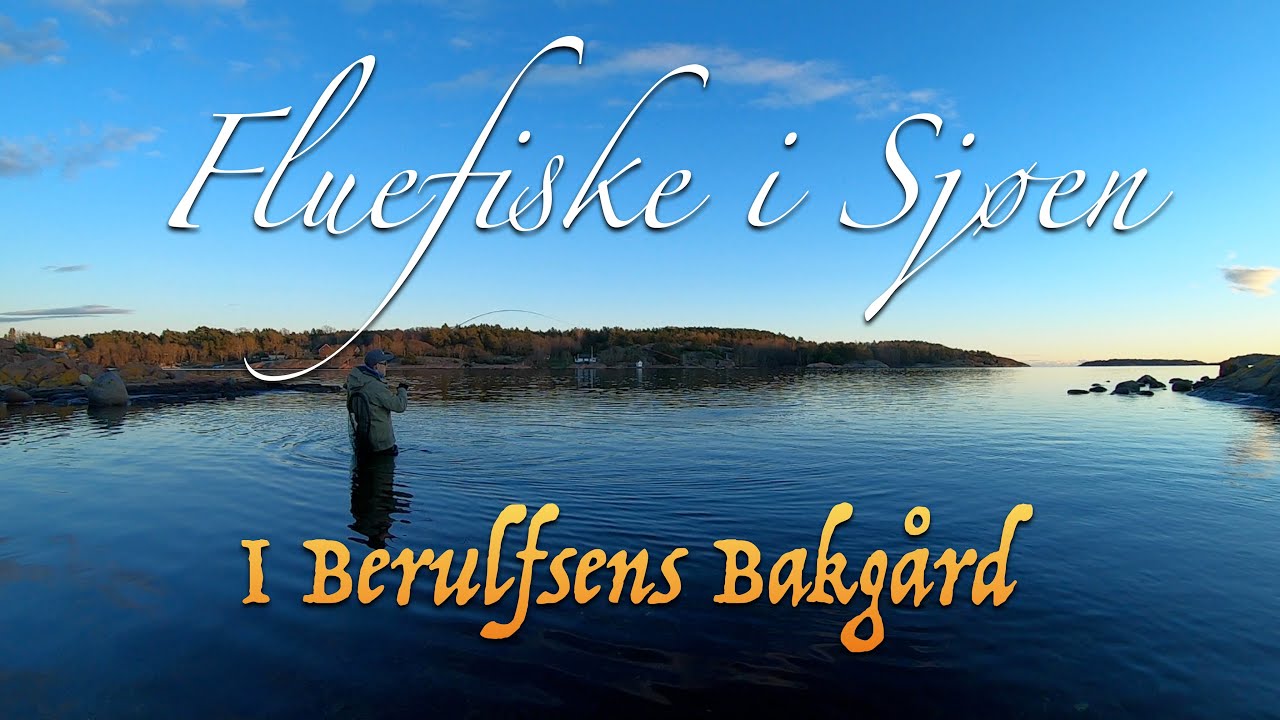 Fluefiske i sjøen. Episode 4 - 2025. I Berulfsens Bakgård. Med Eivind Berulfsen.