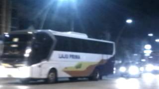 bus laju prima vs bus langsung jaya olahraga malam screenshot 4