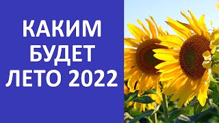 Каким будет лето 2022 года в России?  | Прогноз синоптика | Погода в России