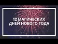 Наталья Токарева. 12 магических дней Нового года