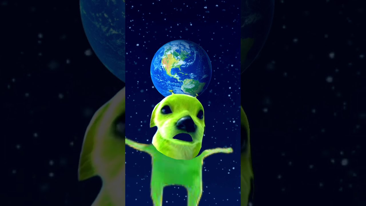 Pls Like And Subscribe Funny Comedy