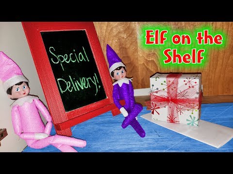 elf-on-the-shelf-brings-secret-mystery-gift!-no-buddy!!!-who-sent-it???