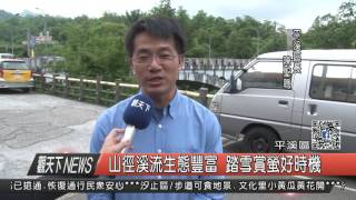 1060509觀天下新聞HD08 平溪區山徑溪流生態豐富 踏雪賞螢好時機