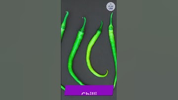 Test Your Microscopic Observation Skills with this Thrilling Quiz! Can You Identify These Objects?