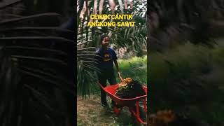 CEWEK pekerja keras