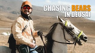 Chasing Bears In Deosai | Ukhano | Vlog