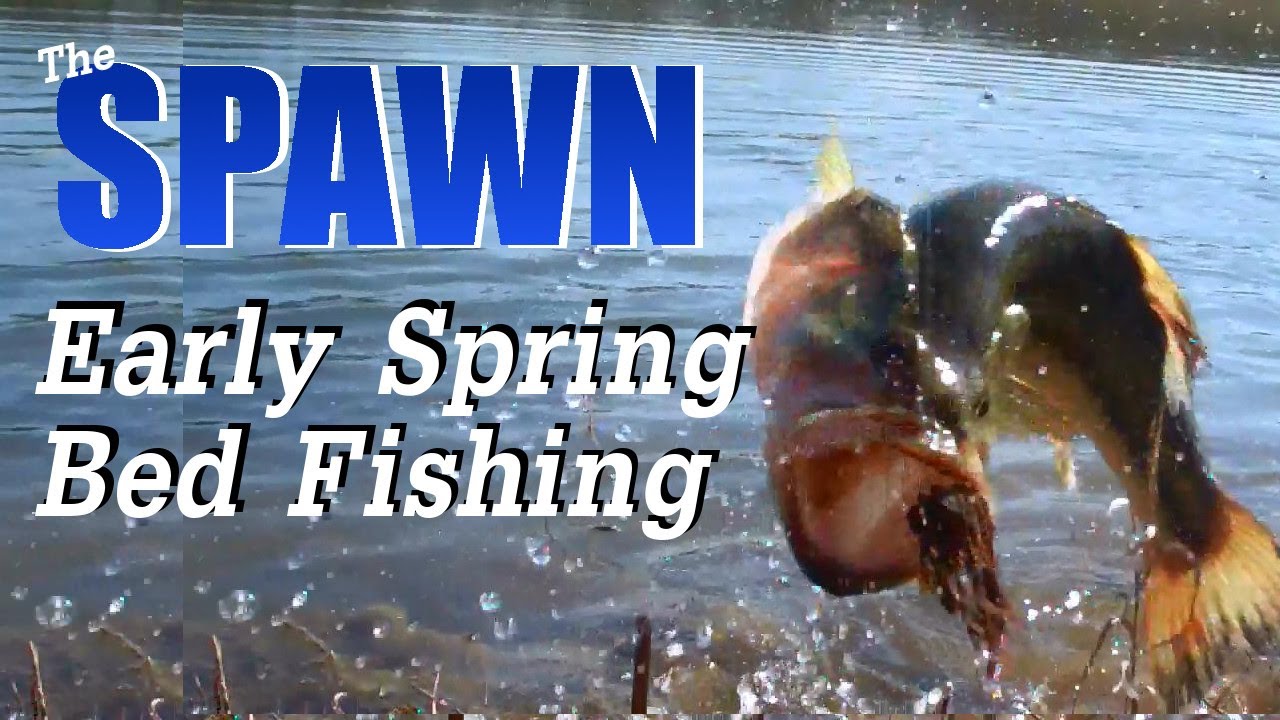 rattletrap jeep for sale Early Spawn Bed Fishing (Hat Cam Bass)