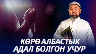 Илимдүүлөрдүн мисалы жамгырдай. Эки адамдарга көрө албастык кылуу адал.  Устаз Искендер Жакеев