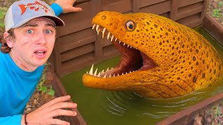 I Found A Sewer Full Of Monsters