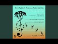 Miniature de la vidéo de la chanson The Great Animal Orchestra: Scherzo And Riffs, Vivace