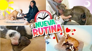 RUTINA CON LOS BEBÉS DE MASHA Y OSO ‍ ¡CADA DÍA ESTAN MÁS GRANDES! | CONNY MERLIN