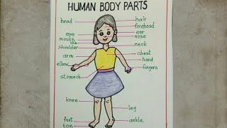 Draw and label body parts of human/easy drawing / Science drawing