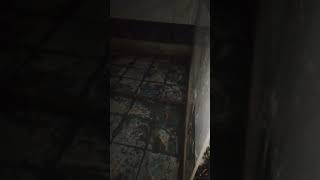 second bathroom tiles half done