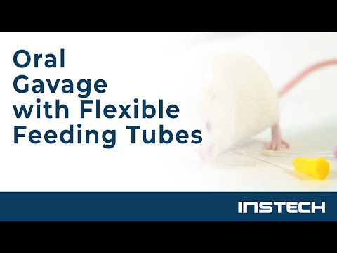 Flexible Plastic Tubing Oral Gavage Needles (Box of 20), Disposable and  Reusable Animal Feeding Needles